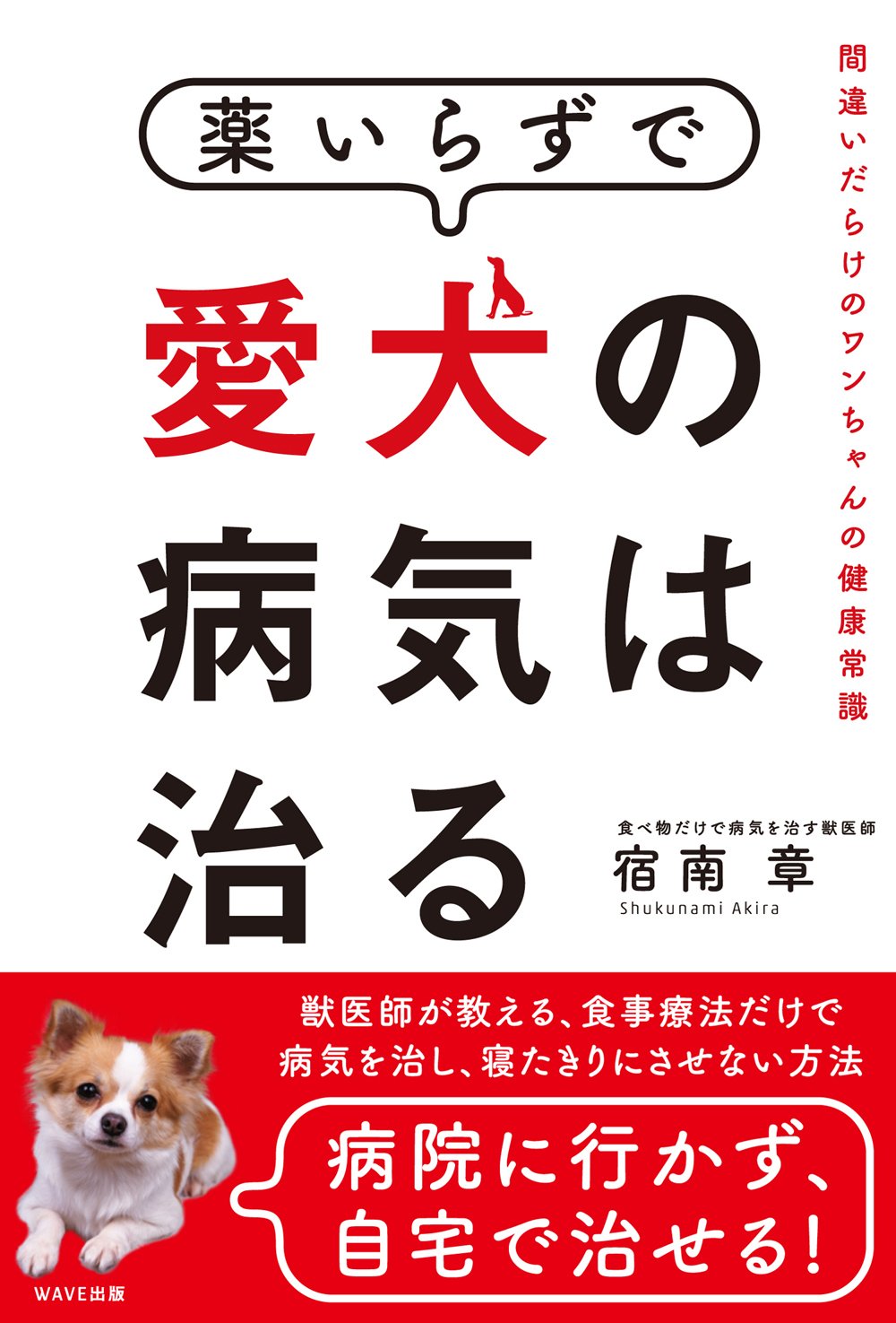 著書「薬いらずで愛犬の病気は治る」